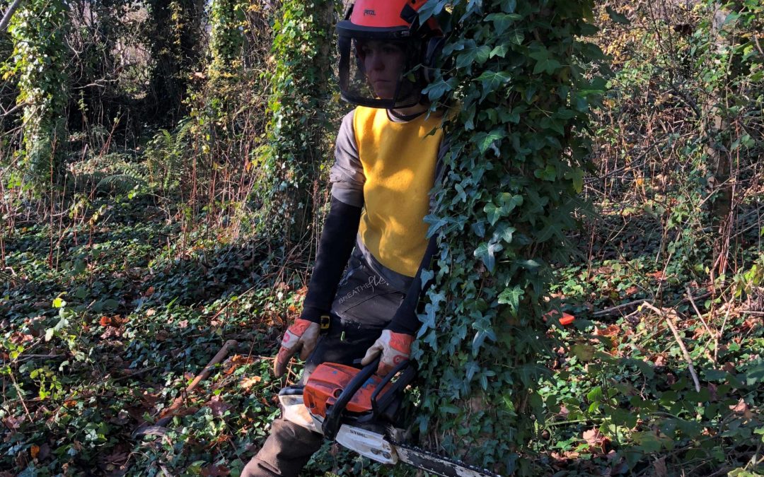 Forestry Roots – trained to chainsaw